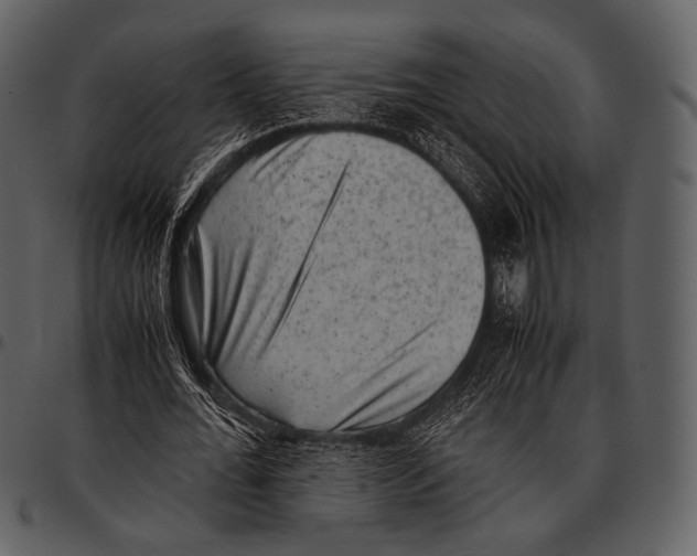 X0000097500676200803201553