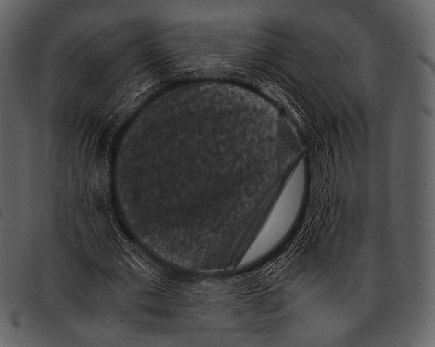 X0000097500677200803201553