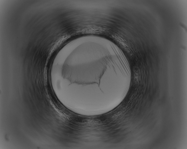 X0000097500678200803201553