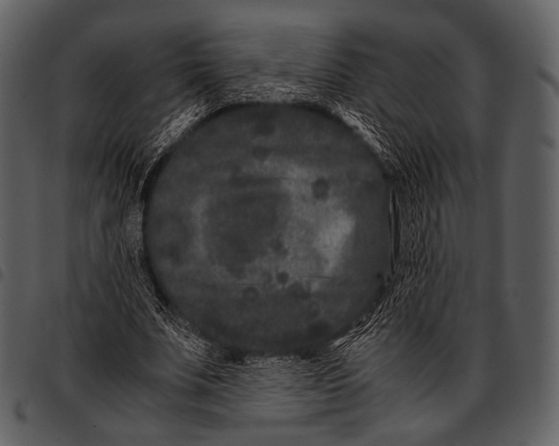 X0000097500679200803201553