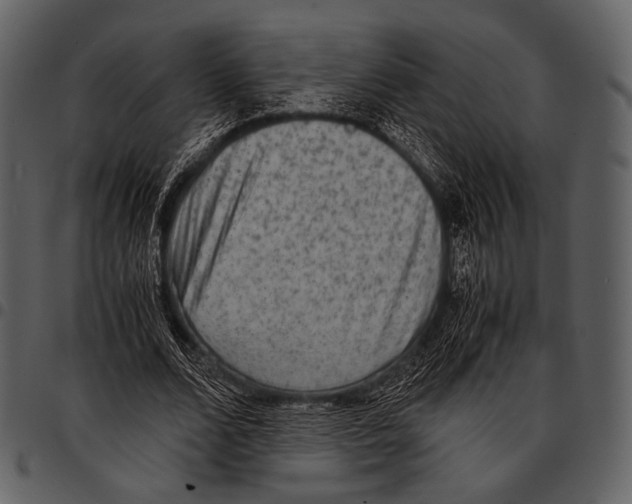 X0000097500680200803201553