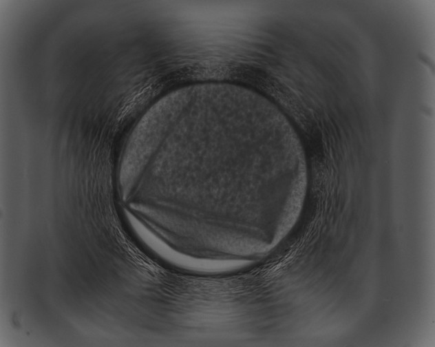 X0000097500681200803201553