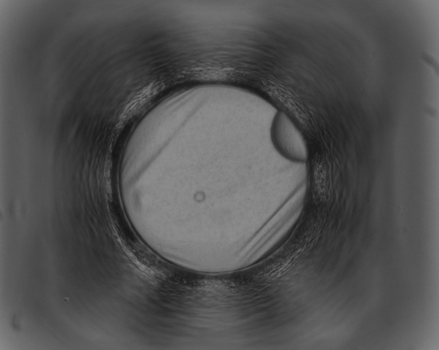X0000097500682200803201553