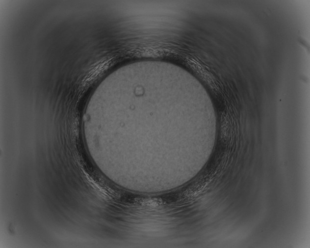 X0000097500683200803201553