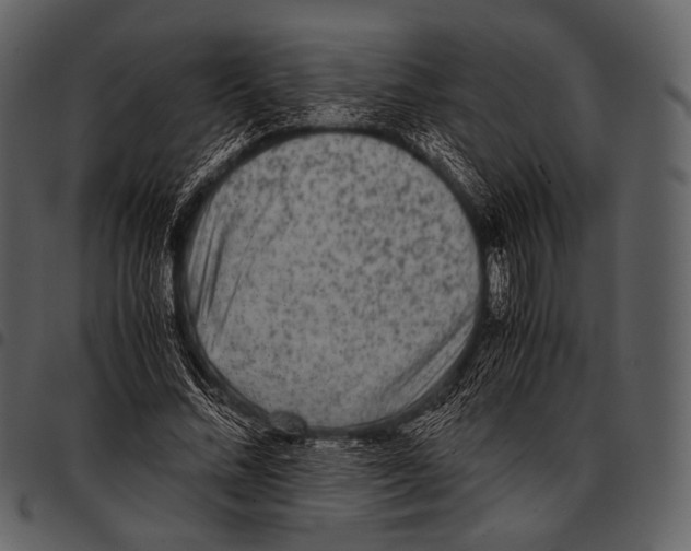 X0000097500684200803201553