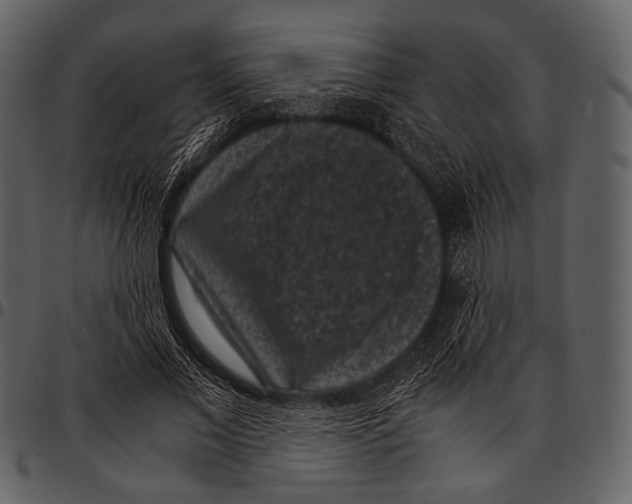 X0000097500685200803201553