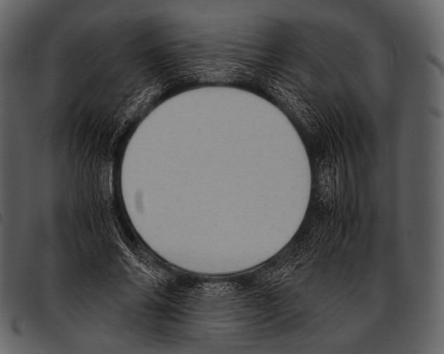 X0000097500686200803201553