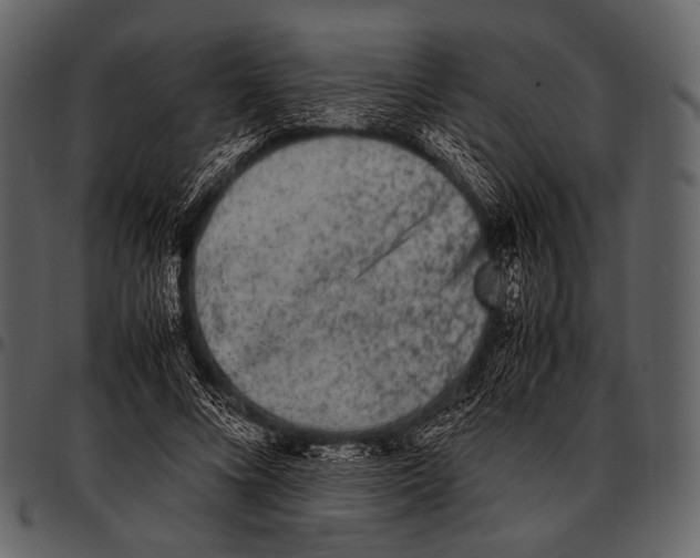 X0000097500688200803201553