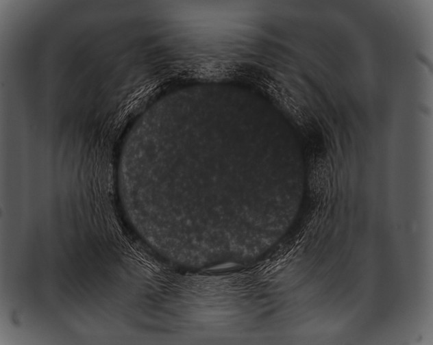 X0000097500689200803201553