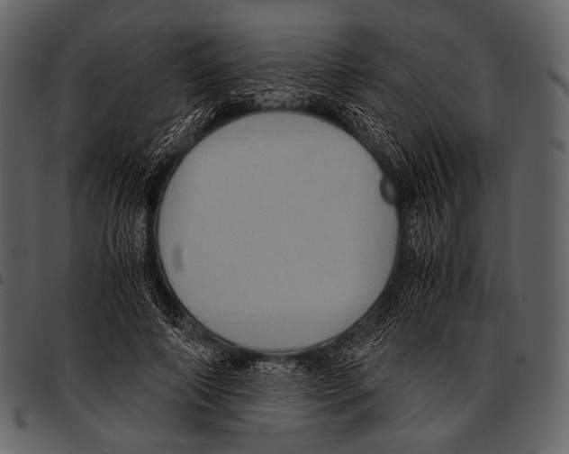 X0000097500690200803201553
