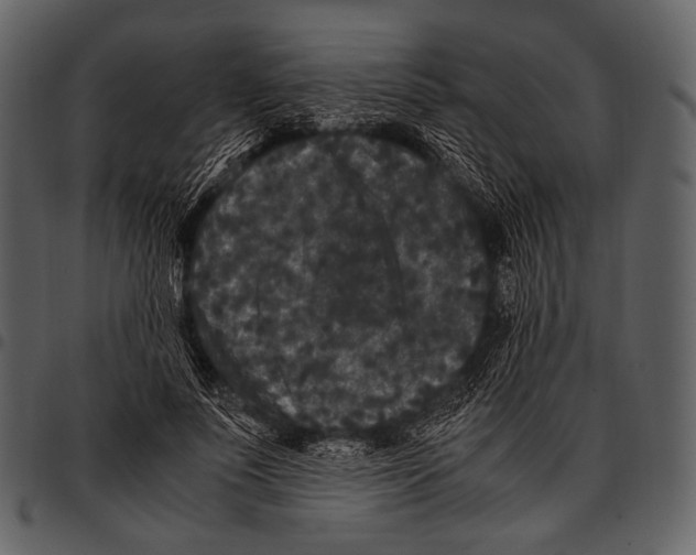 X0000097500691200803201553