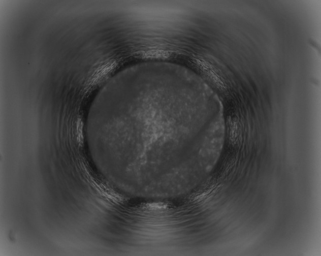 X0000097500692200803201553
