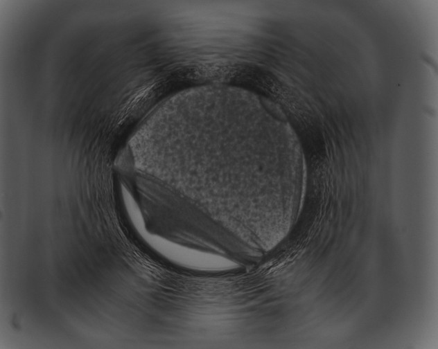X0000097500693200803201553