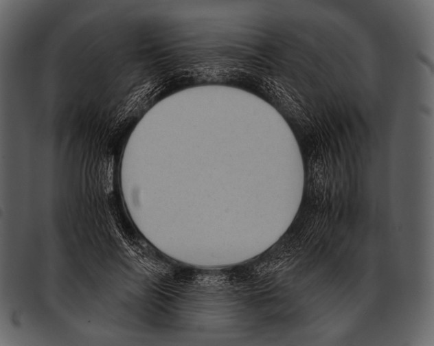 X0000097500694200803201553