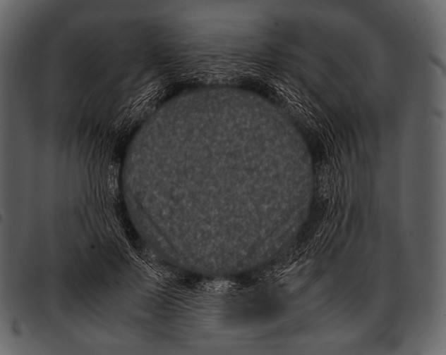 X0000097500695200803201553
