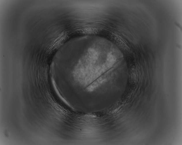 X0000097500696200803201553