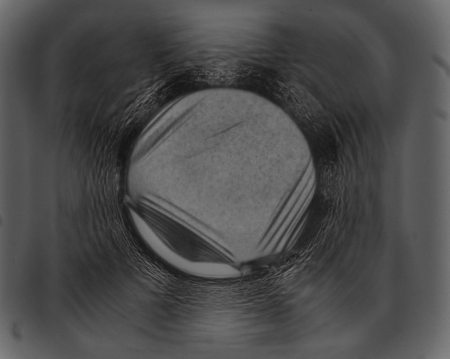 X0000097500697200803201552