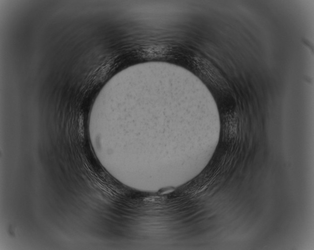 X0000097500700200803201552