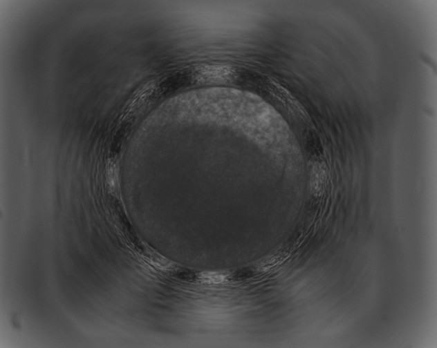 X0000097500701200803201552