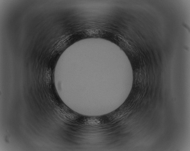 X0000097500702200803201552