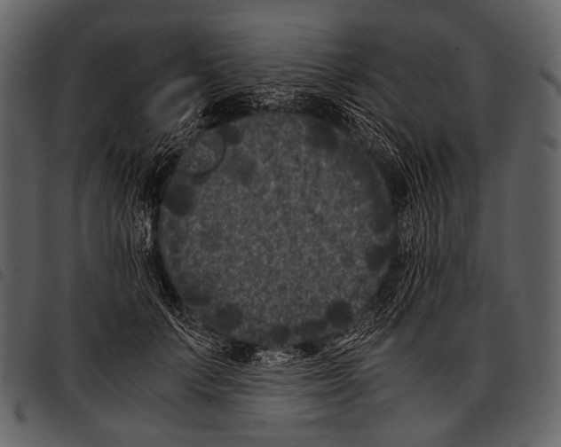 X0000097500703200803201552