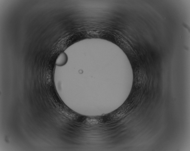X0000097500706200803201552