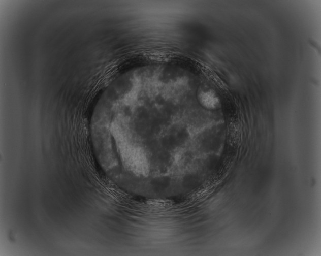 X0000097500707200803201552