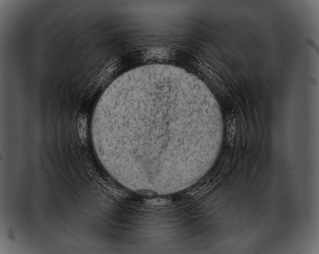 X0000097500708200803201552