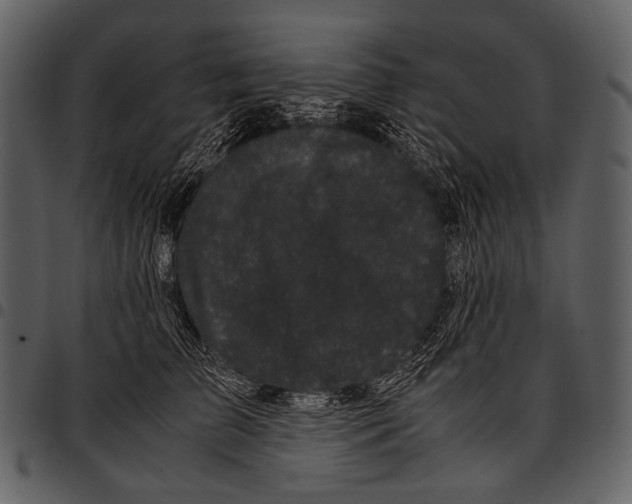 X0000097500709200803201552