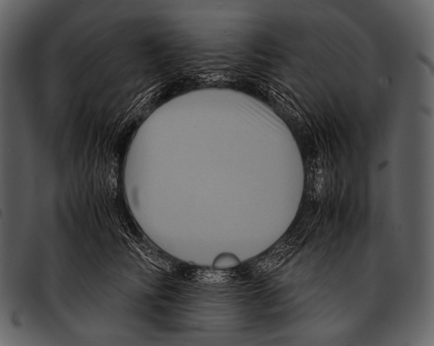 X0000097500710200803201552