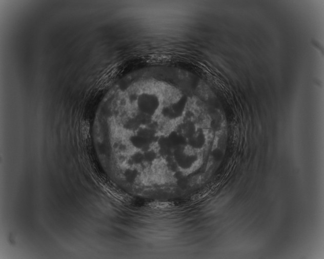 X0000097500711200803201552