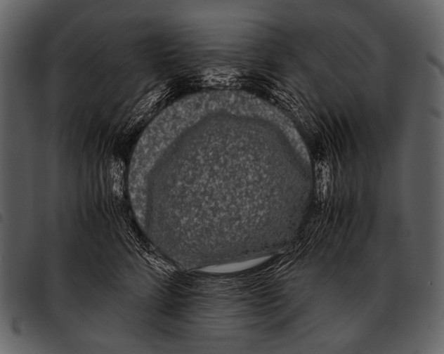 X0000097500712200803201552