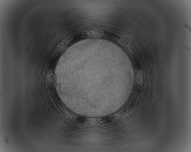X0000097500713200803201552