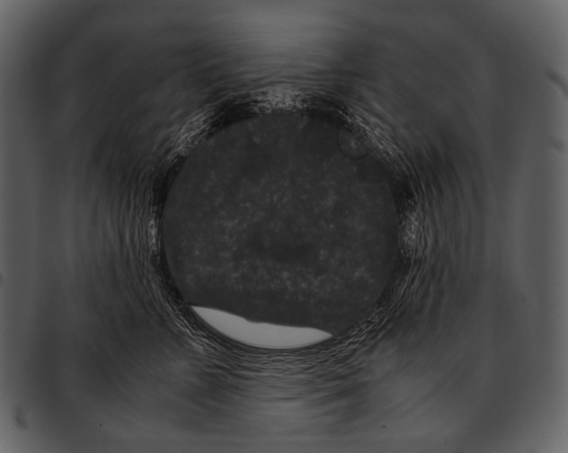X0000097500715200803201552