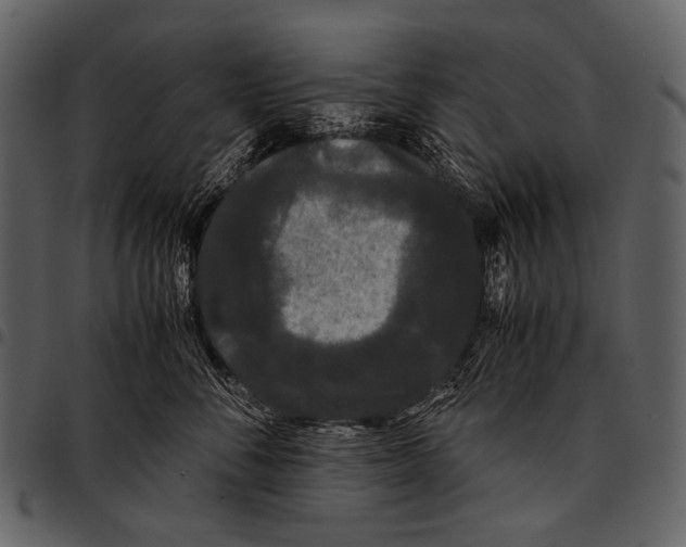 X0000097500716200803201552