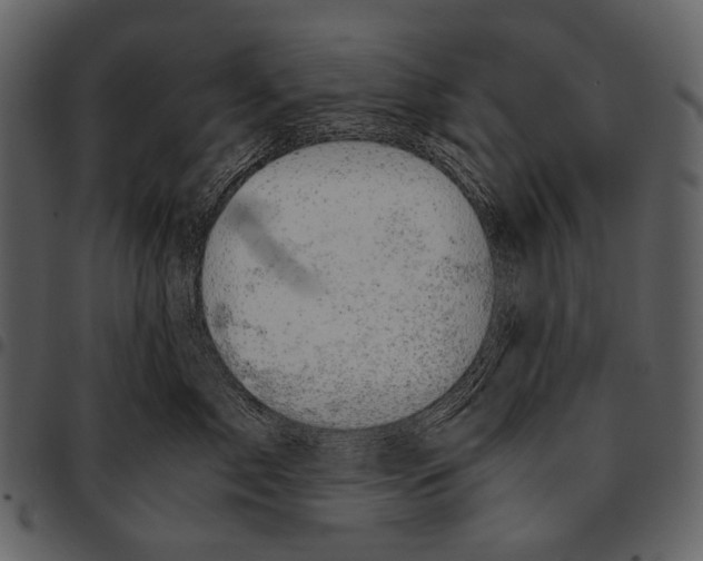 X0000097500717200803201552