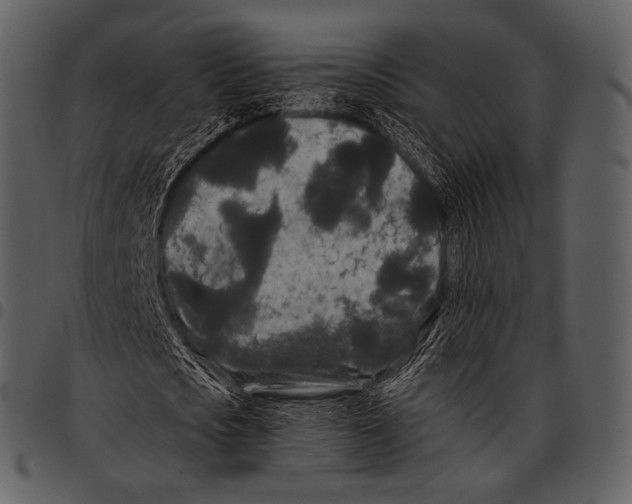 X0000097500721200803201551