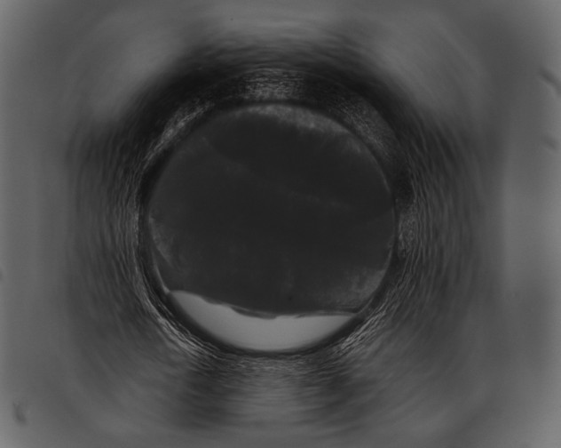 X0000097500722200803201551