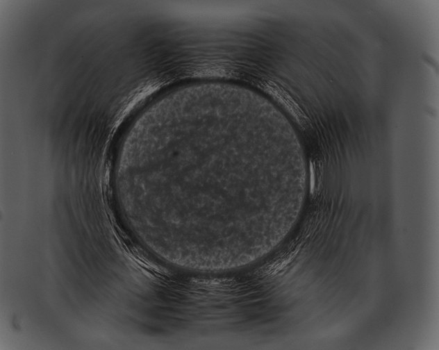 X0000097500723200803201551