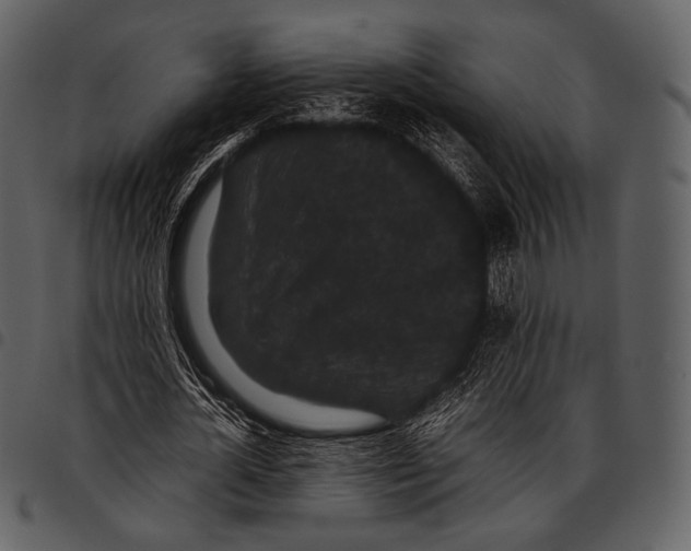 X0000097500724200803201551