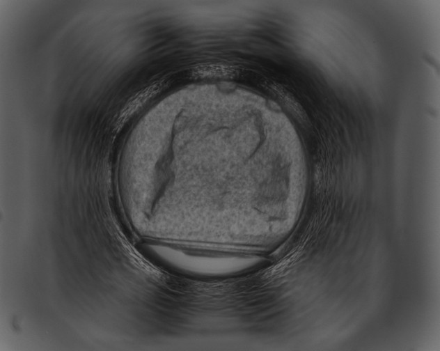 X0000097500725200803201551