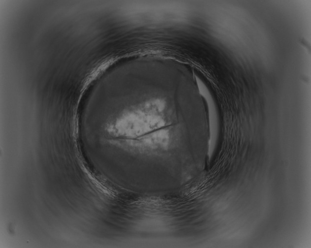 X0000097500726200803201551
