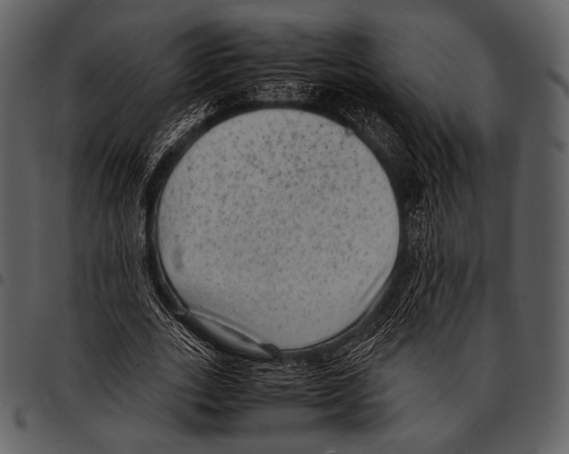 X0000097500727200803201551