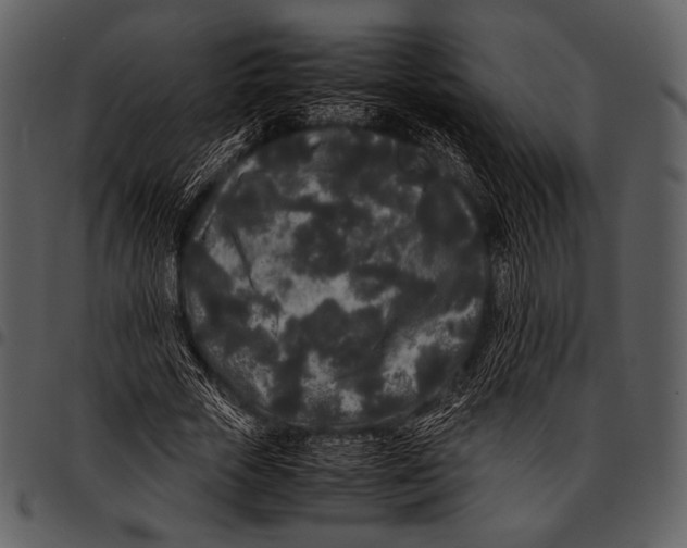 X0000097500729200803201551