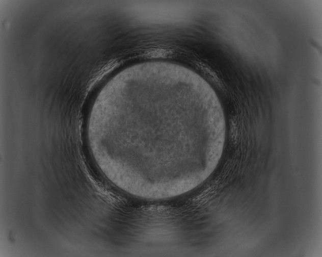 X0000097500730200803201551
