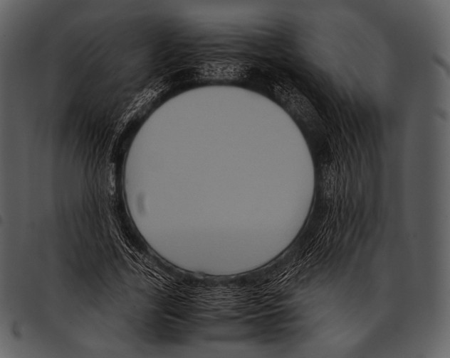 X0000097500731200803201551