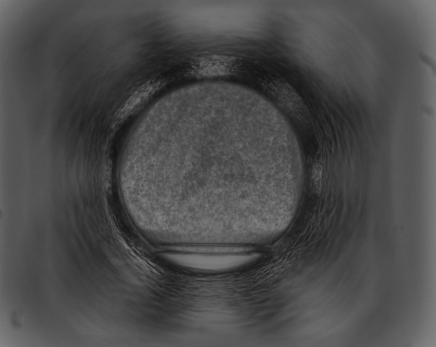 X0000097500732200803201551