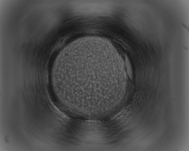 X0000097500734200803201551