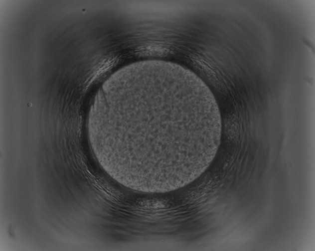 X0000097500735200803201552