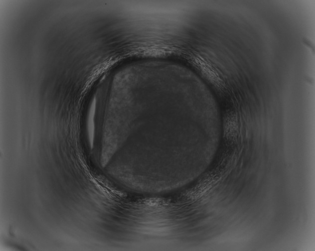 X0000097500736200803201552